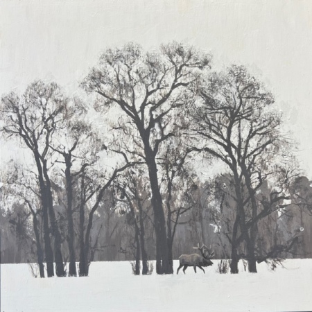 Solitude-16x16