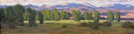 Valley-of-the-Cottonwood-8x29