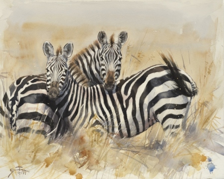 22Zebras22-16x2022