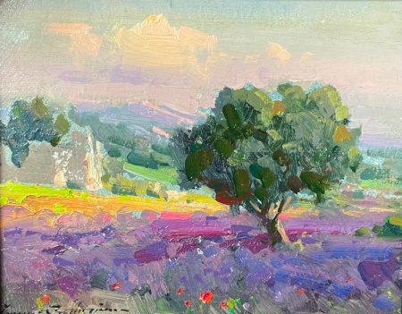 Lavender-Field-in-Provence-8x10