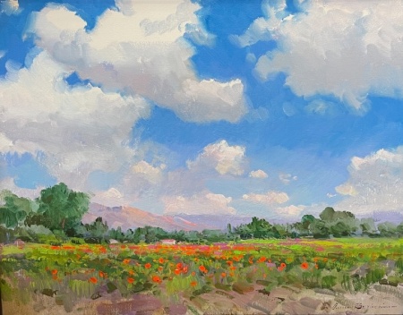 Poppy-Field-24x30