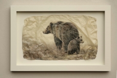 Bear Behind