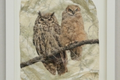 Great Horned Owl