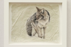 Mousing