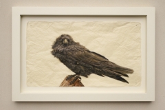 Raven