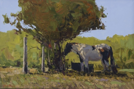 Summer-20x30