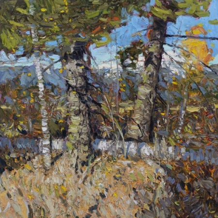 The-High-Westland-30x30