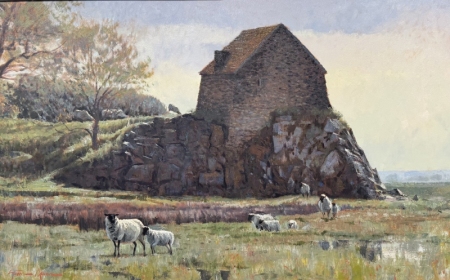 Salt-Marsh-Sheep-30x48